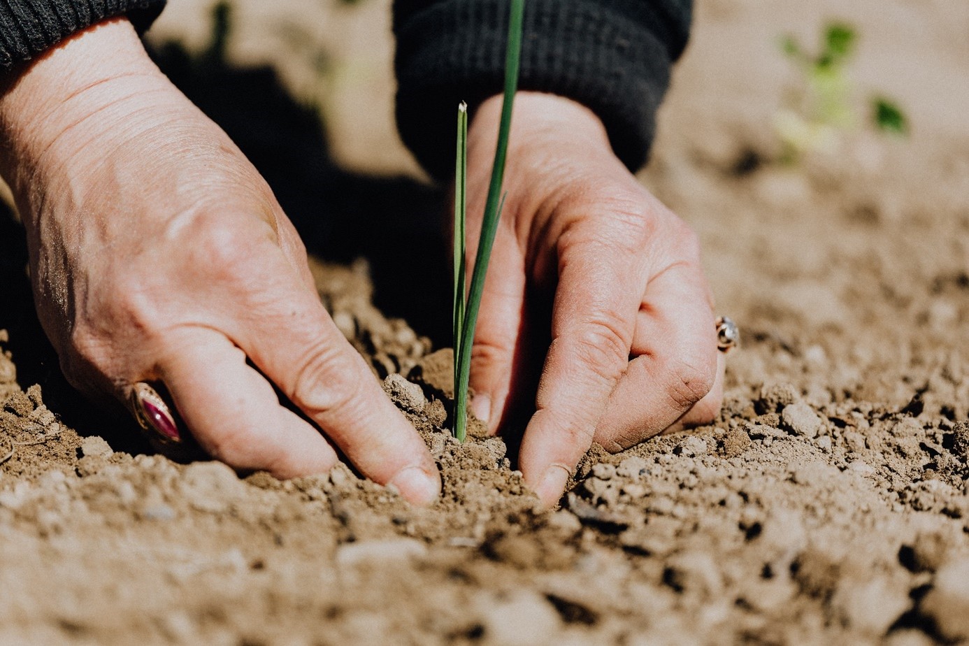 Welche Versicherung ist in der Landwirtschaft notwendig